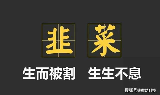 K8凯发(国际)·官方网站